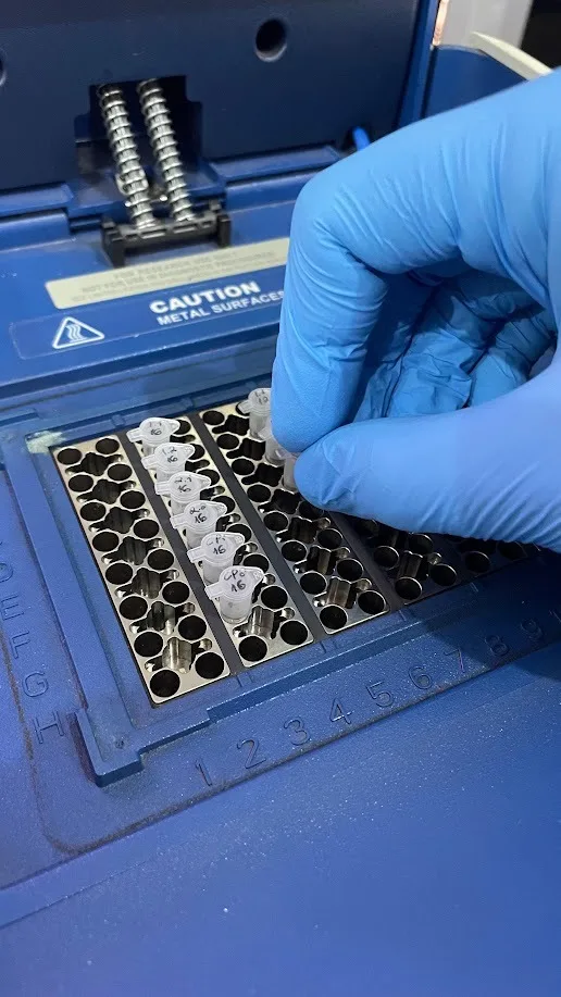 Mão com luva manuseando material em um termociclador de laboratório.
